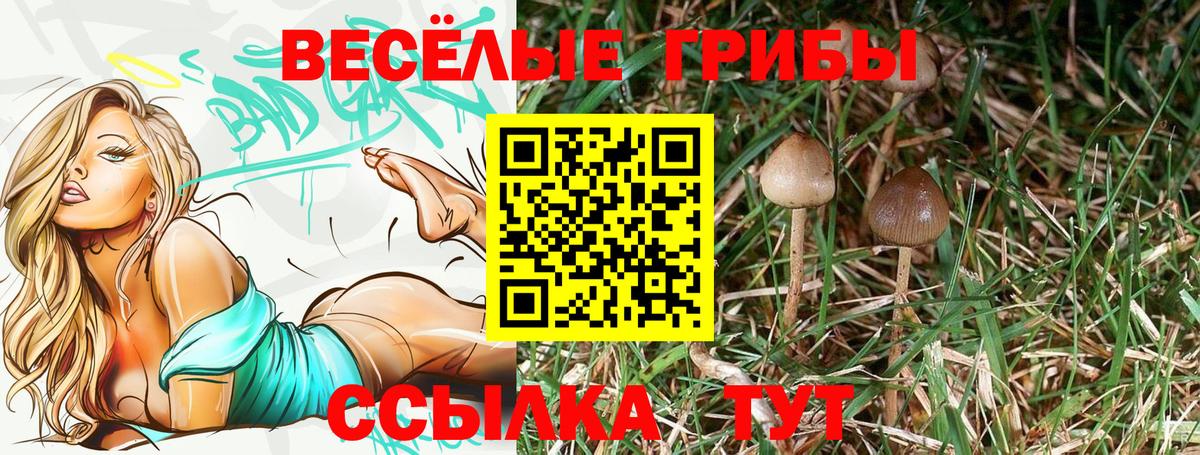 Псилоцибиновые грибы GOLDEN TEACHER Рассказово