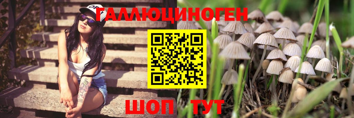 Галлюциногенные грибы GOLDEN TEACHER  Галлюциногенные грибы Magic Shrooms  Рассказово  Вход с VPN 