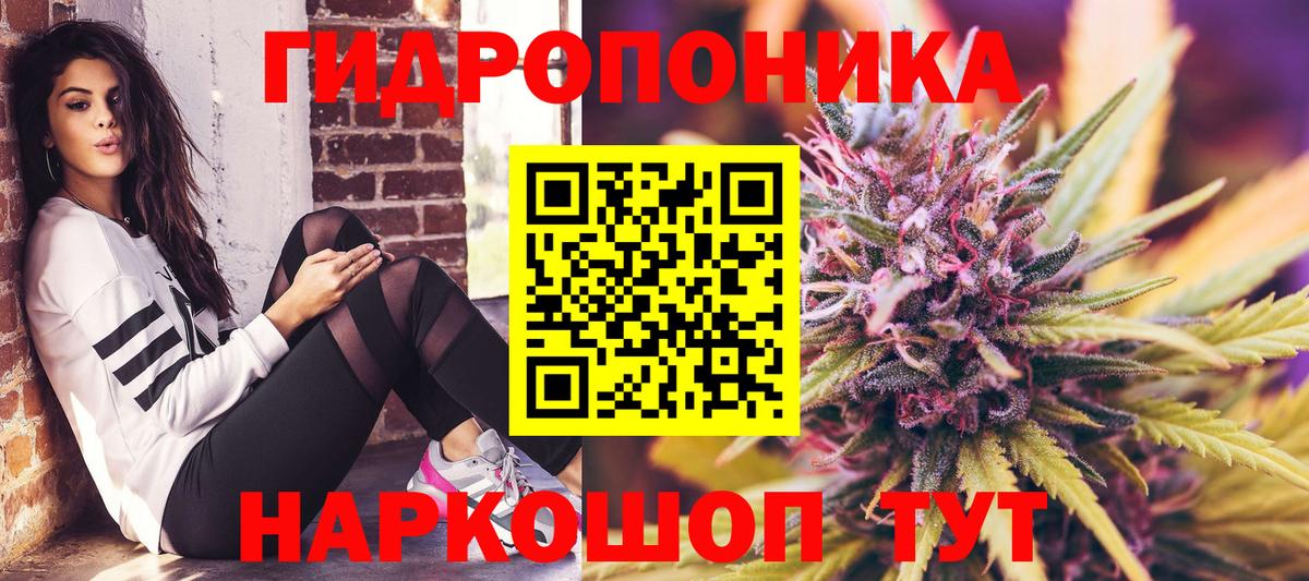 Шишки марихуана планчик  МАРИХУАНА гибрид  Рассказово  Марихуана марихуана  Вход с VPN 